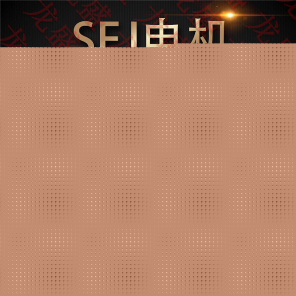 SEJ快速門電機